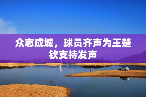 众志成城，球员齐声为王楚钦支持发声