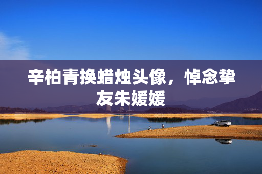 辛柏青换蜡烛头像，悼念挚友朱媛媛