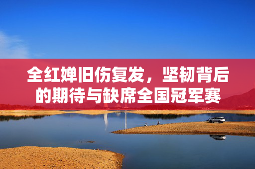 全红婵旧伤复发，坚韧背后的期待与缺席全国冠军赛