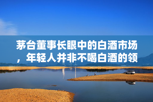 茅台董事长眼中的白酒市场，年轻人并非不喝白酒的领域