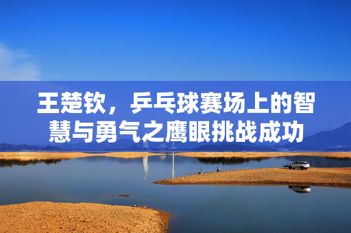 王楚钦，乒乓球赛场上的智慧与勇气之鹰眼挑战成功