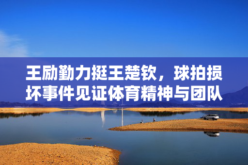 王励勤力挺王楚钦，球拍损坏事件见证体育精神与团队力量