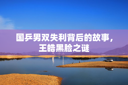 国乒男双失利背后的故事，王皓黑脸之谜