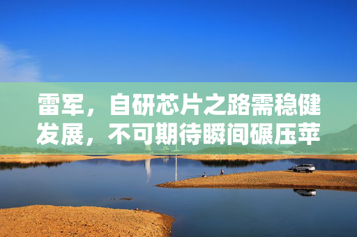 雷军，自研芯片之路需稳健发展，不可期待瞬间碾压苹果