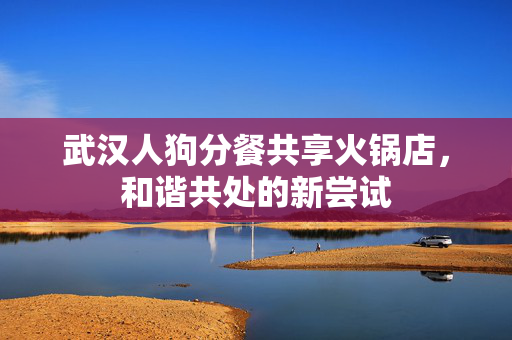 武汉人狗分餐共享火锅店，和谐共处的新尝试