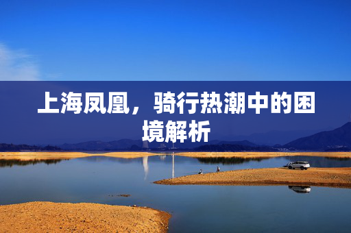 上海凤凰，骑行热潮中的困境解析