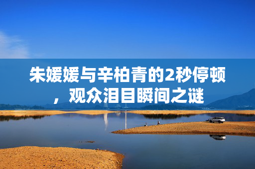 朱媛媛与辛柏青的2秒停顿，观众泪目瞬间之谜