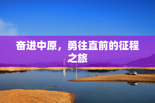 奋进中原，勇往直前的征程之旅