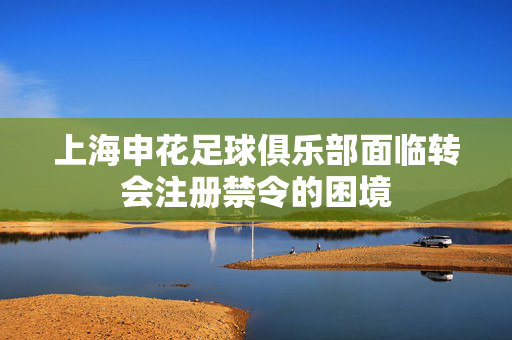 上海申花足球俱乐部面临转会注册禁令的困境