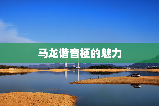 马龙谐音梗的魅力