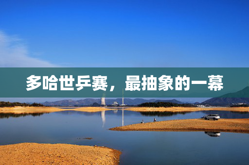 多哈世乒赛，最抽象的一幕