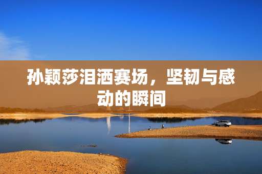 孙颖莎泪洒赛场，坚韧与感动的瞬间
