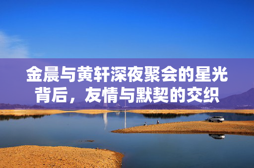 金晨与黄轩深夜聚会的星光背后，友情与默契的交织