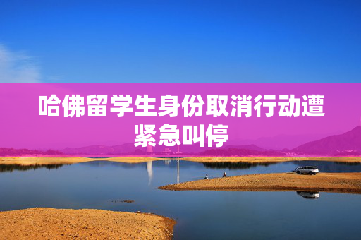 哈佛留学生身份取消行动遭紧急叫停