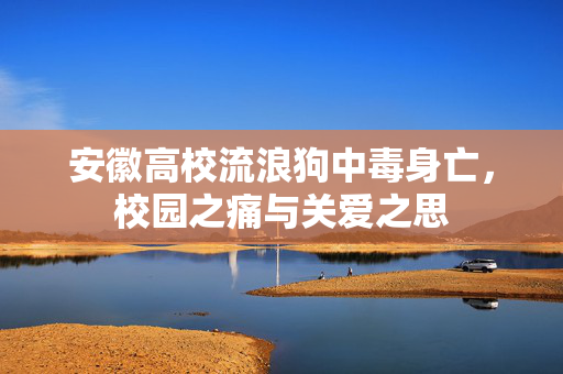 安徽高校流浪狗中毒身亡，校园之痛与关爱之思