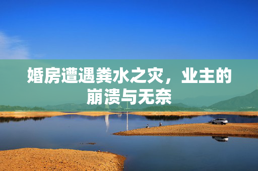 婚房遭遇粪水之灾，业主的崩溃与无奈