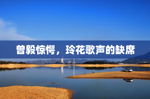 曾毅惊愕，玲花歌声的缺席