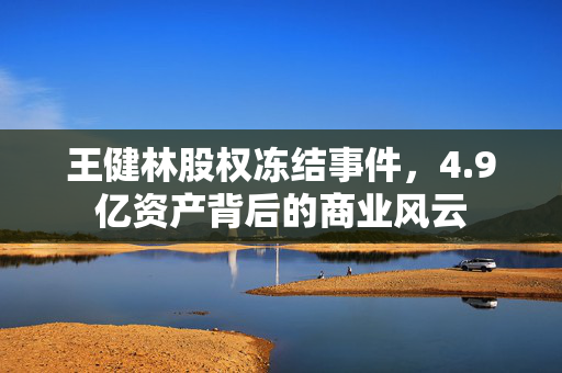 王健林股权冻结事件，4.9亿资产背后的商业风云