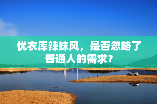 优衣库辣妹风，是否忽略了普通人的需求？