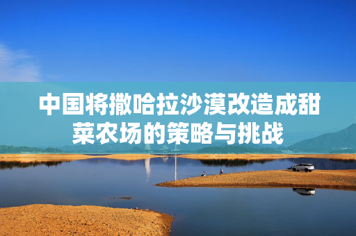 中国将撒哈拉沙漠改造成甜菜农场的策略与挑战
