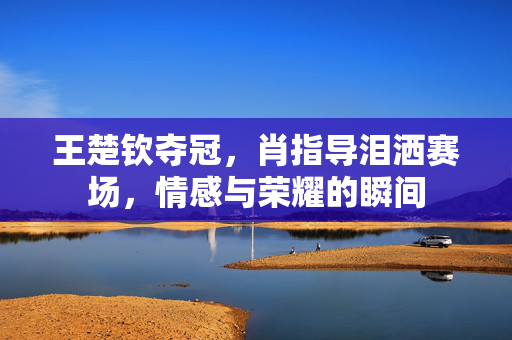王楚钦夺冠，肖指导泪洒赛场，情感与荣耀的瞬间
