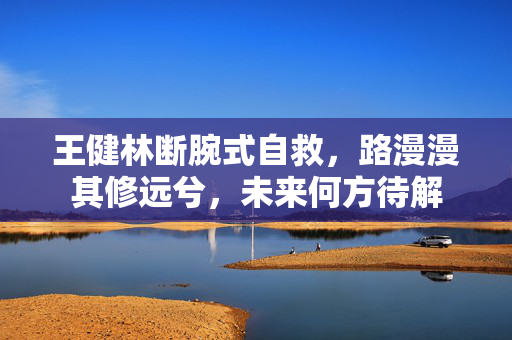 王健林断腕式自救，路漫漫其修远兮，未来何方待解