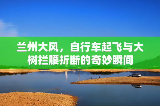 兰州大风，自行车起飞与大树拦腰折断的奇妙瞬间
