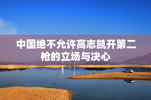 中国绝不允许高志凯开第二枪的立场与决心