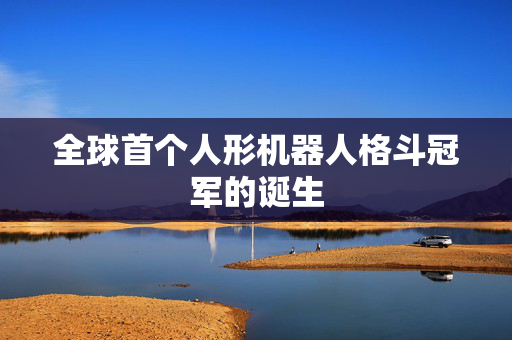 全球首个人形机器人格斗冠军的诞生