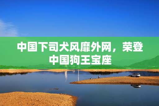 中国下司犬风靡外网，荣登中国狗王宝座