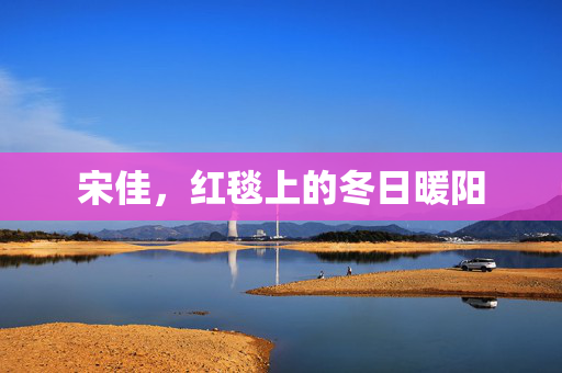 宋佳，红毯上的冬日暖阳