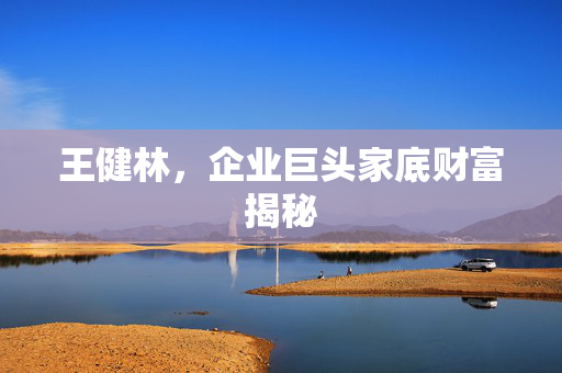 王健林，企业巨头家底财富揭秘