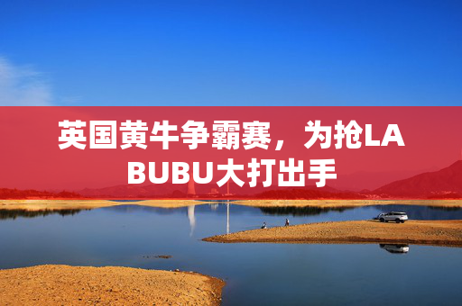 英国黄牛争霸赛，为抢LABUBU大打出手