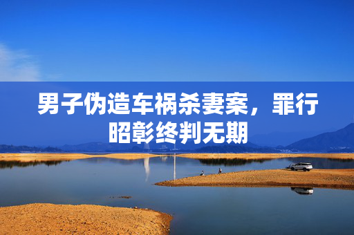 男子伪造车祸杀妻案，罪行昭彰终判无期