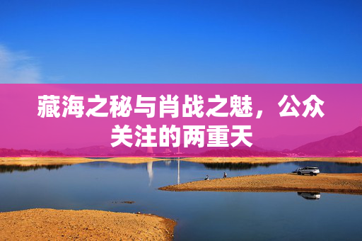 藏海之秘与肖战之魅，公众关注的两重天