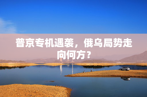 普京专机遇袭，俄乌局势走向何方？