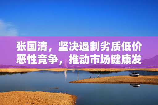 张国清，坚决遏制劣质低价恶性竞争，推动市场健康发展