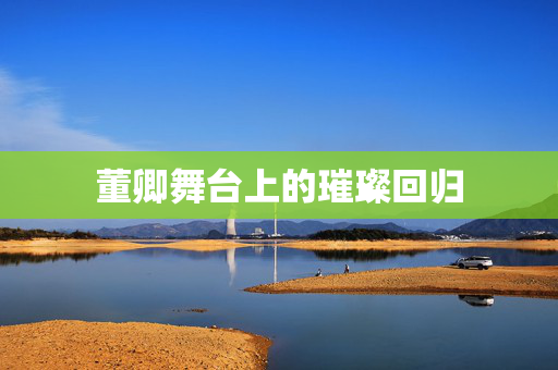 董卿舞台上的璀璨回归