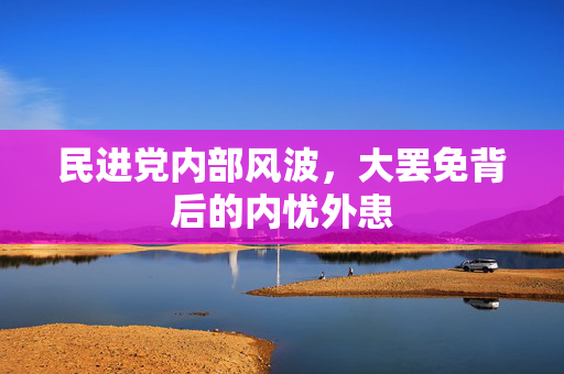 民进党内部风波，大罢免背后的内忧外患