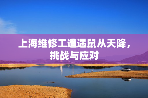 上海维修工遭遇鼠从天降，挑战与应对