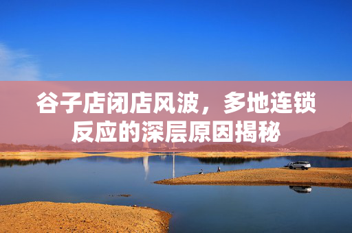 谷子店闭店风波，多地连锁反应的深层原因揭秘