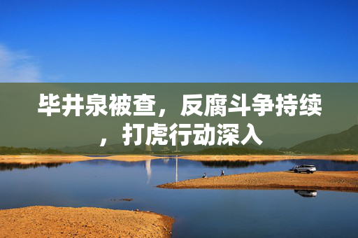 毕井泉被查，反腐斗争持续，打虎行动深入