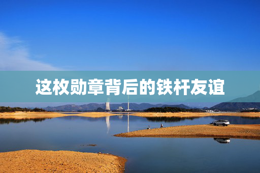 这枚勋章背后的铁杆友谊