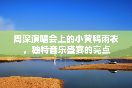 周深演唱会上的小黄鸭雨衣，独特音乐盛宴的亮点