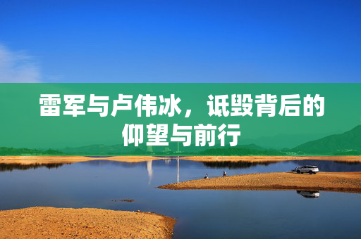 雷军与卢伟冰，诋毁背后的仰望与前行