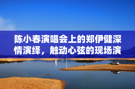 陈小春演唱会上的郑伊健深情演绎，触动心弦的现场演绎