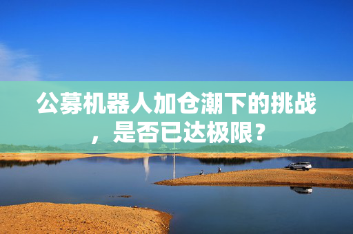 公募机器人加仓潮下的挑战，是否已达极限？