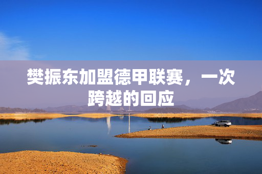樊振东加盟德甲联赛，一次跨越的回应