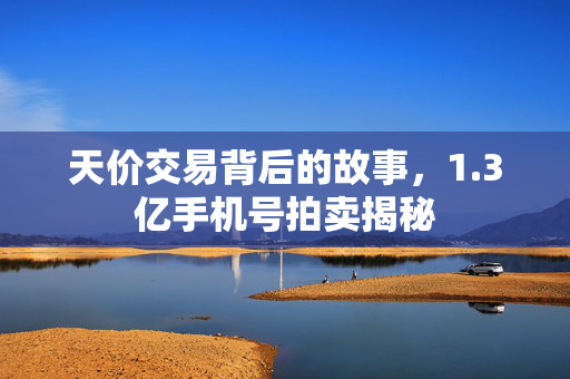 天价交易背后的故事，1.3亿手机号拍卖揭秘