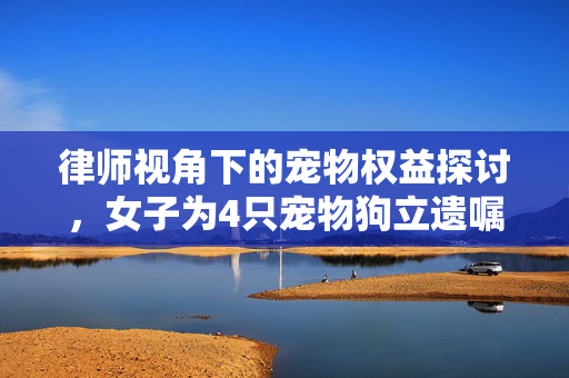 律师视角下的宠物权益探讨，女子为4只宠物狗立遗嘱的法理解析